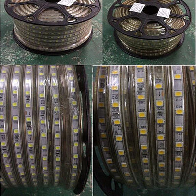 DC12V ή ελαφριά 5050 60 PC λουρίδων των οδηγήσεων DC24V IP68 των οδηγήσεων για το κατώτερο νερό