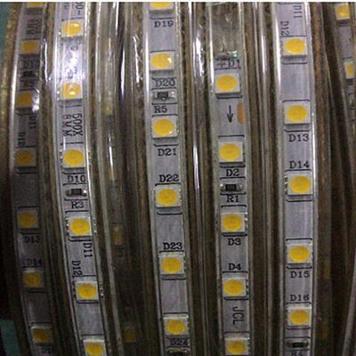 DC12V ή ελαφριά 5050 60 PC λουρίδων των οδηγήσεων DC24V IP68 των οδηγήσεων για το κατώτερο νερό